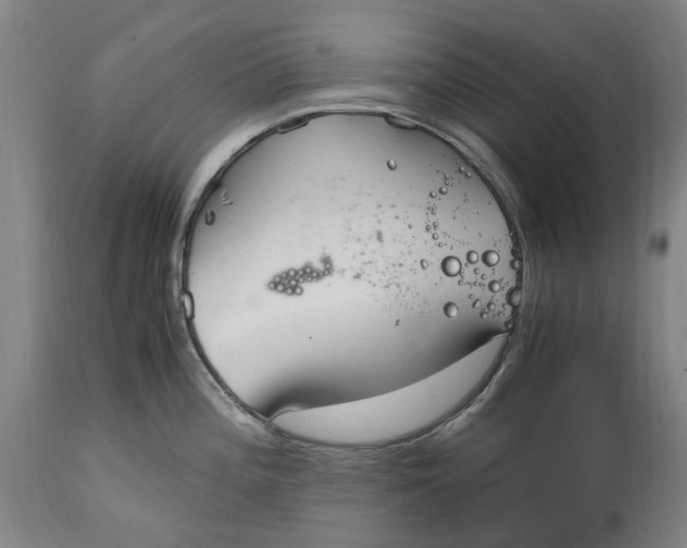 X0000114601196200911161346