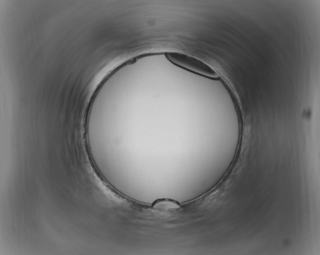 X0000114601197200911161346