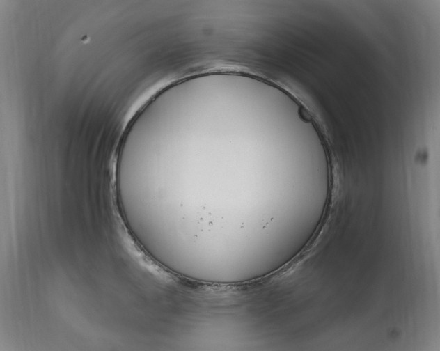 X0000114601198200911161346