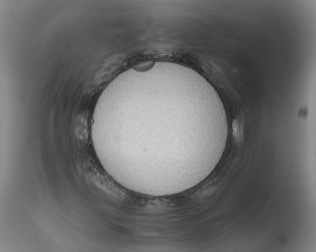 X0000114601203200911161346