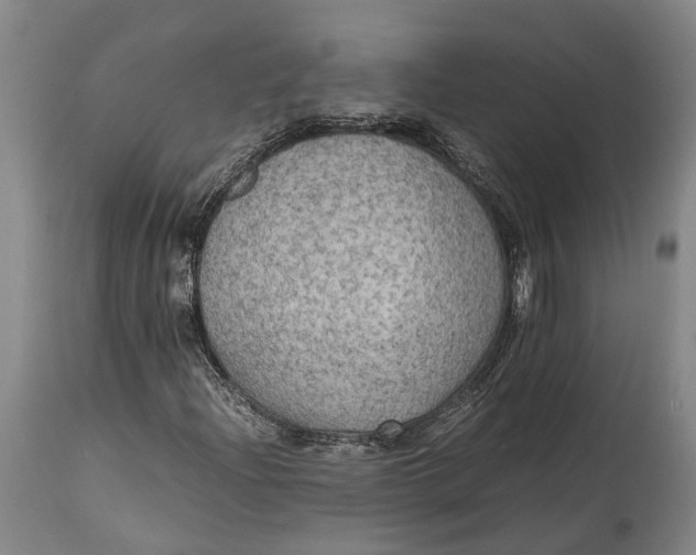 X0000114601204200911161346