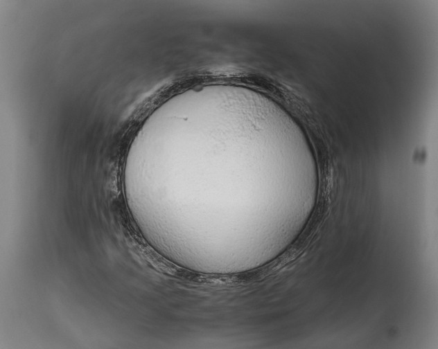 X0000114601205200911161346