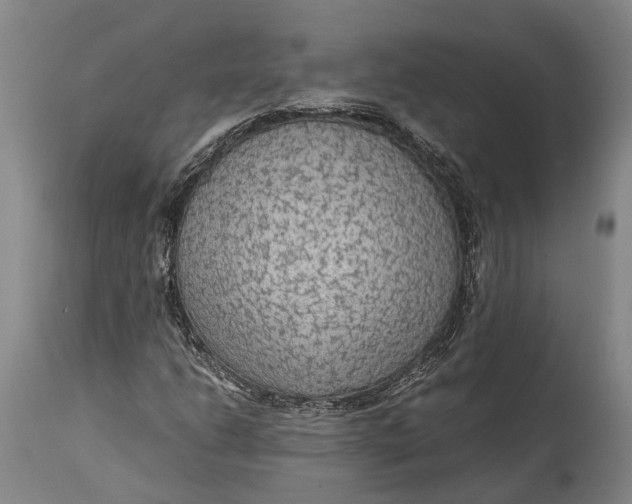 X0000114601206200911161346