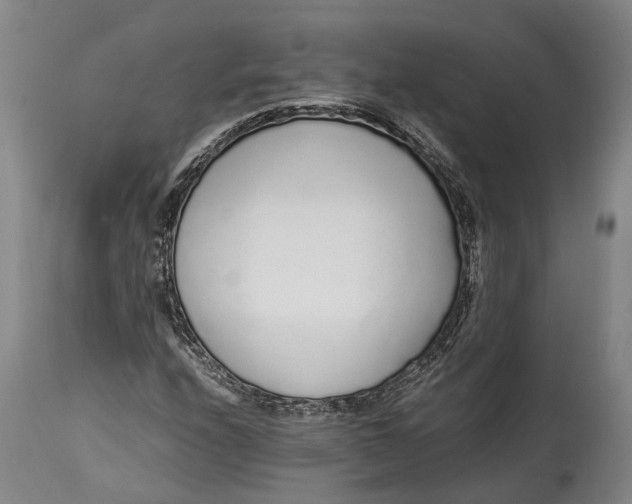 X0000114601208200911161346