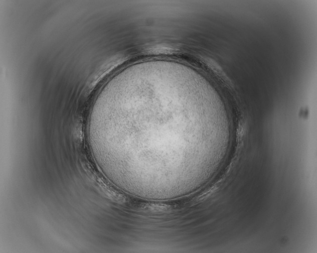 X0000114601209200911161346