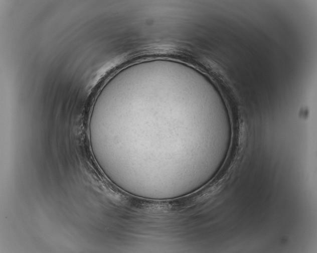 X0000114601210200911161346