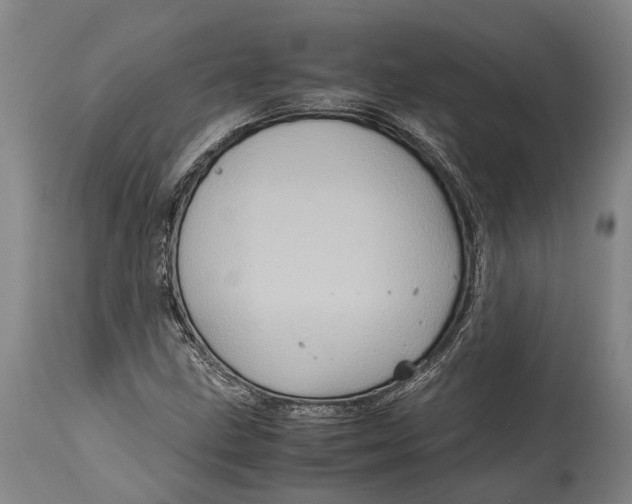 X0000114601211200911161346