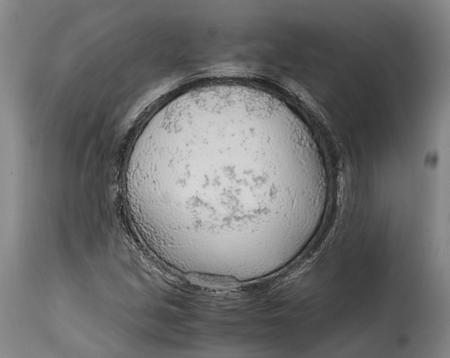 X0000114601213200911161346