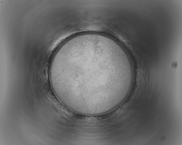 X0000114601214200911161346