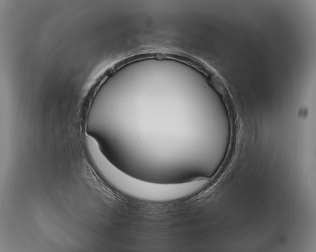 X0000114601215200911161346