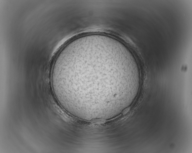 X0000114601216200911161346