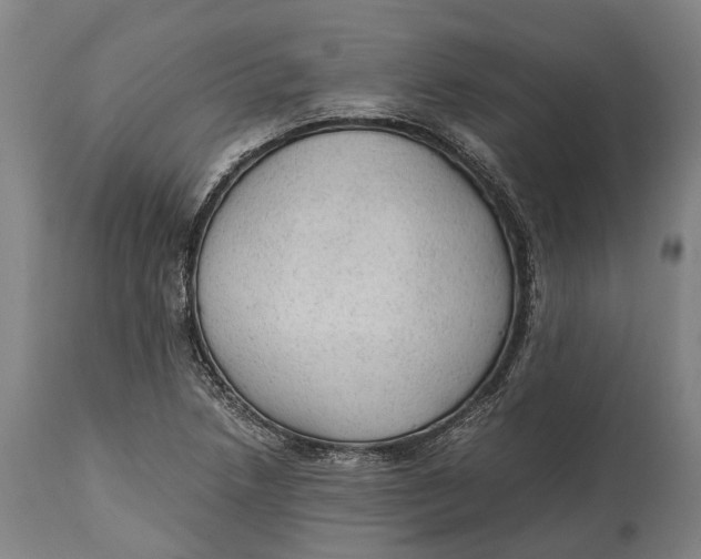 X0000114601218200911161346