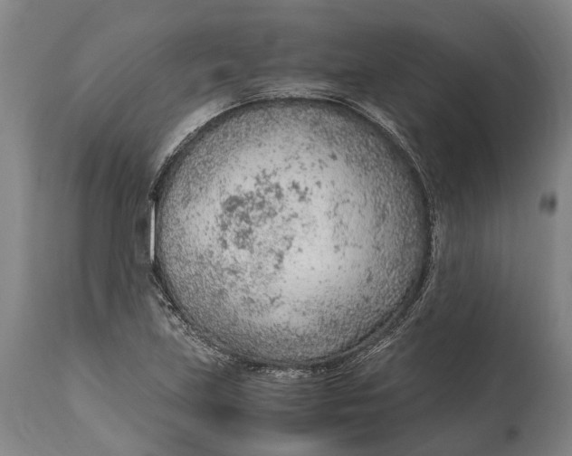 X0000114601219200911161346