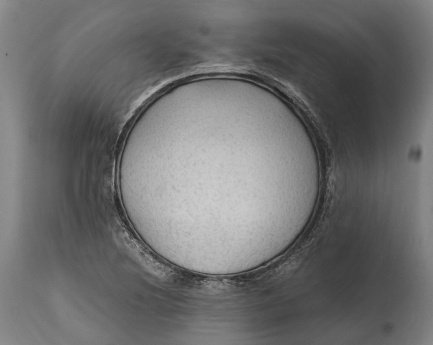 X0000114601220200911161346