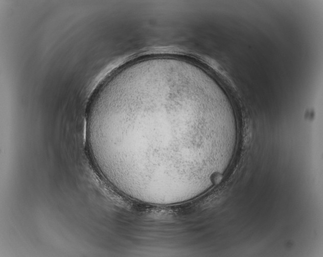 X0000114601221200911161346