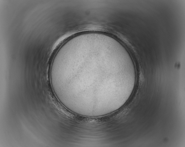 X0000114601222200911161346