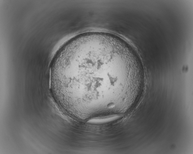 X0000114601223200911161346