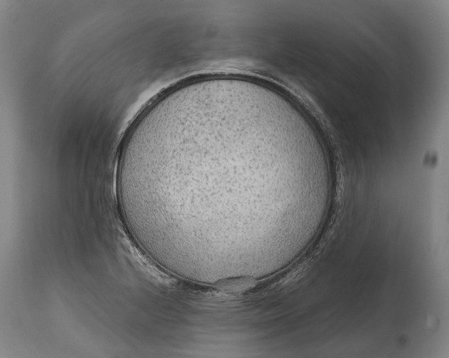 X0000114601224200911161346