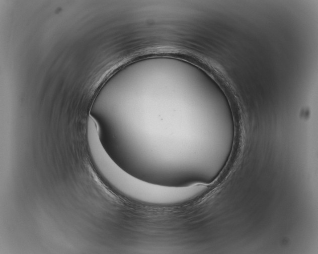 X0000114601225200911161346