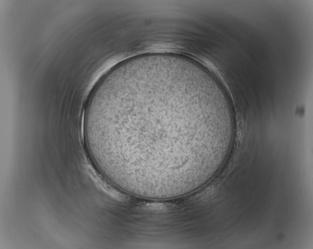 X0000114601227200911161346