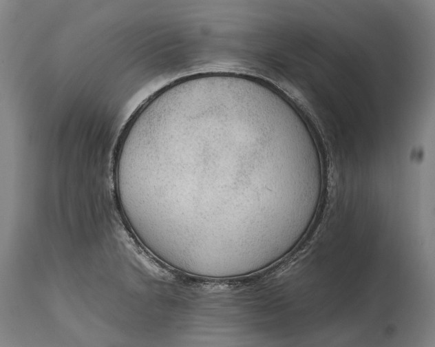 X0000114601230200911161346