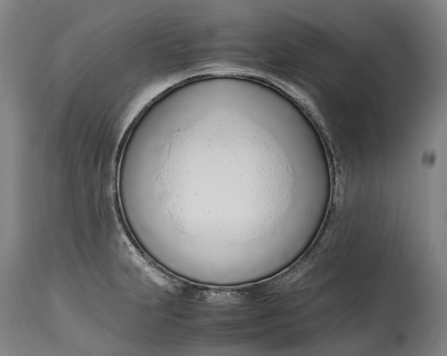 X0000114601231200911161346