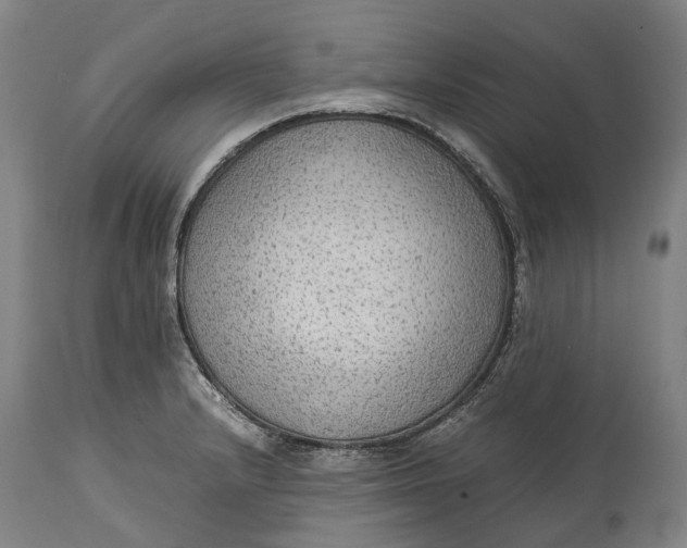 X0000114601232200911161346