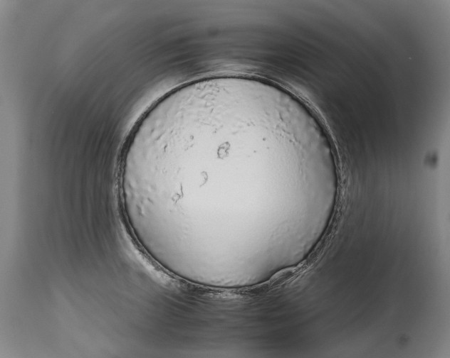 X0000114601235200911161346