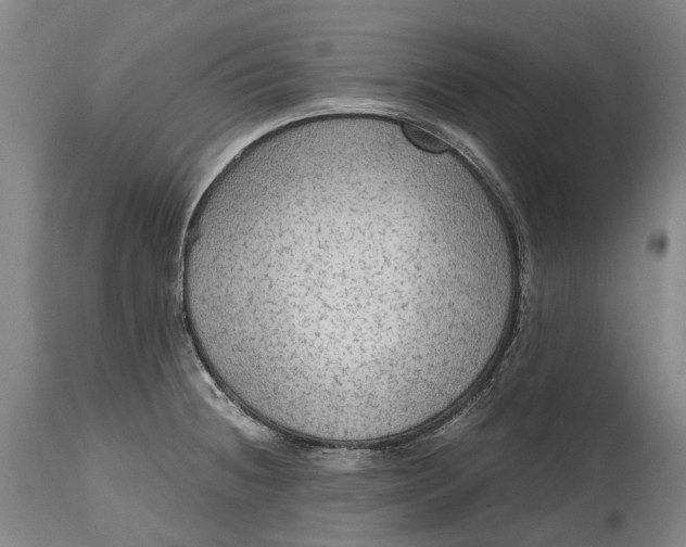 X0000114601236200911161346