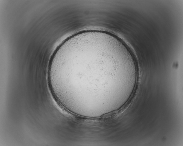 X0000114601237200911161346