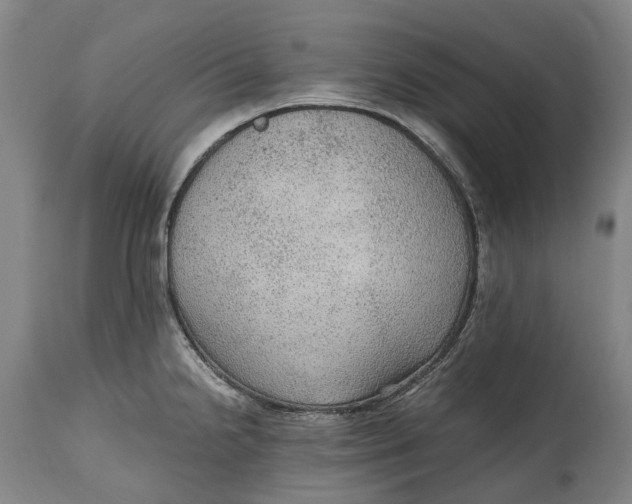 X0000114601238200911161346