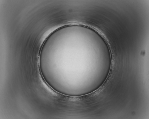 X0000114601239200911161346