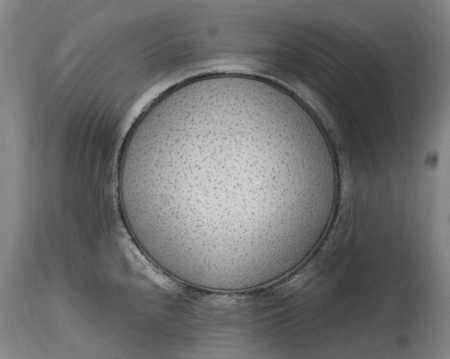 X0000114601240200911161346