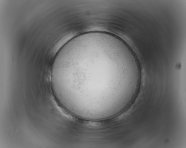 X0000114601241200911161346