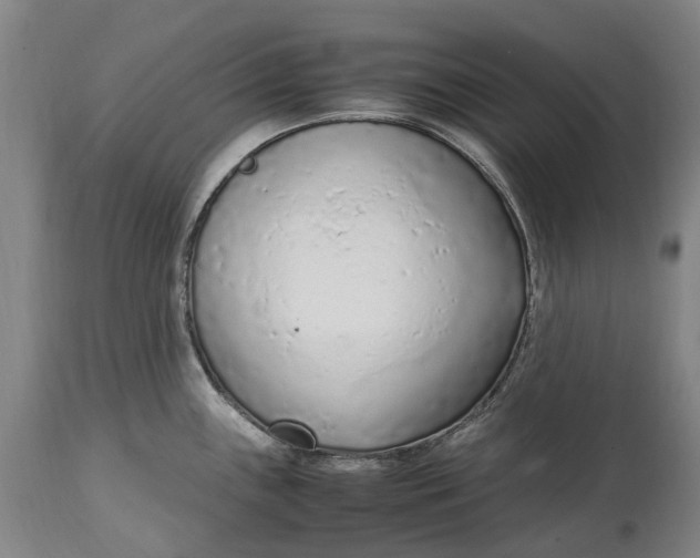 X0000114601243200911161346