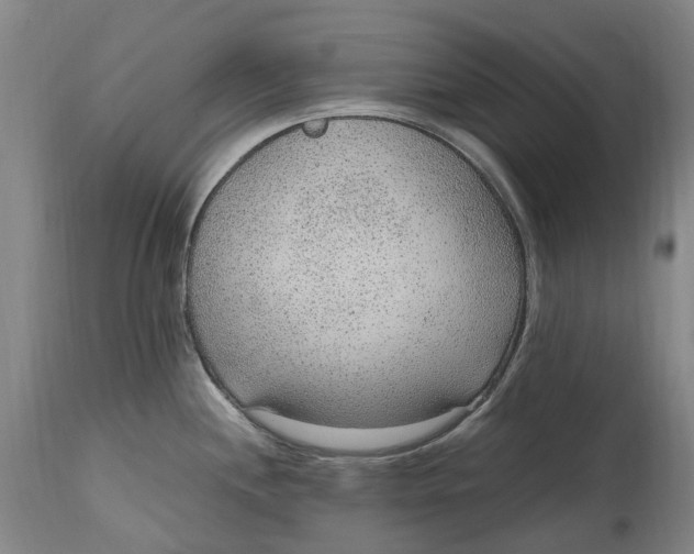 X0000114601244200911161346