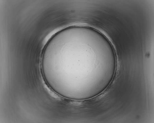 X0000114601245200911161346