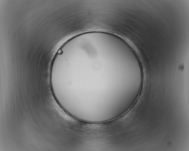 X0000114601246200911161346