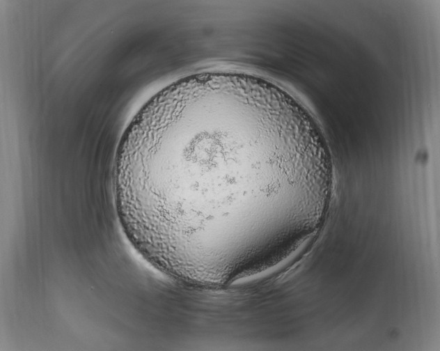 X0000114601247200911161346