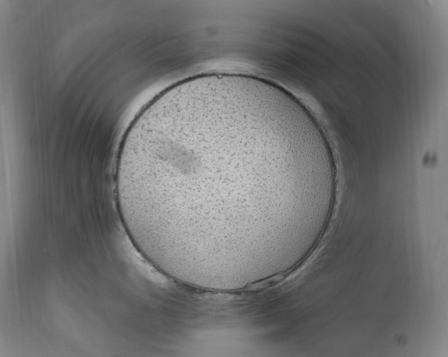 X0000114601248200911161346