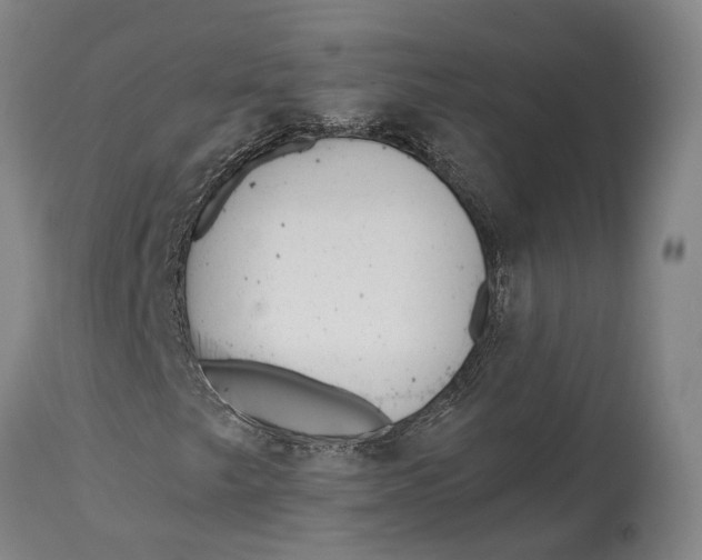 X0000114601249200911161346