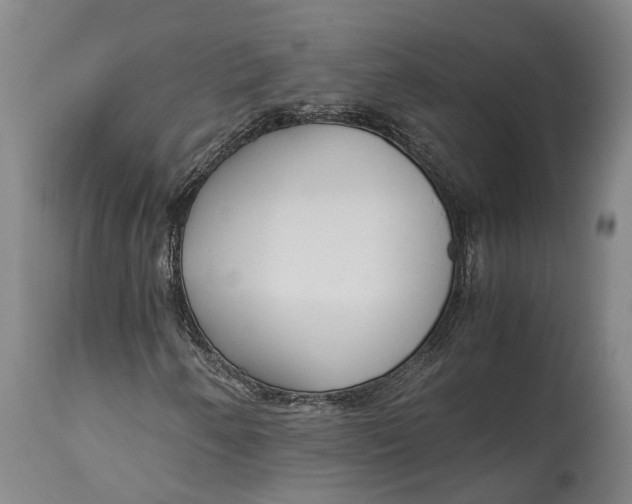 X0000114601250200911161346