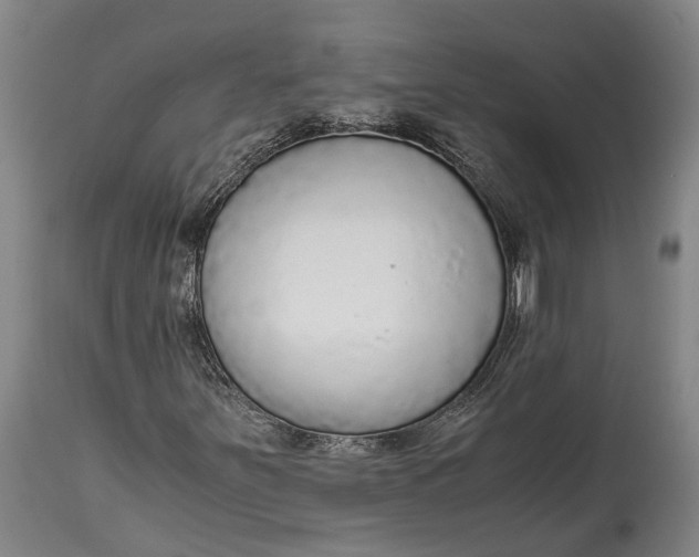 X0000114601251200911161346