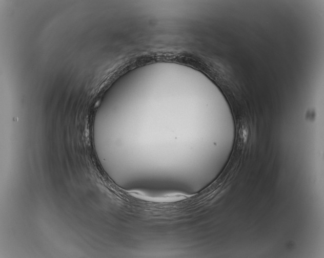 X0000114601252200911161346