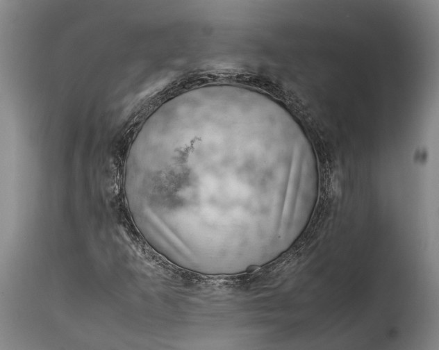 X0000114601253200911161346