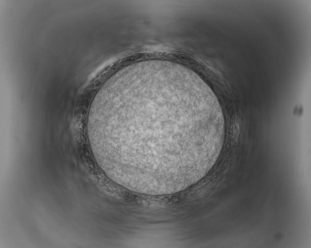 X0000114601254200911161346