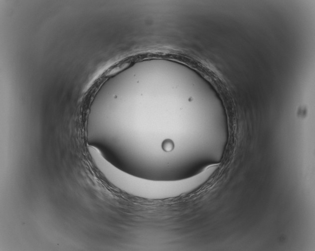 X0000114601256200911161346