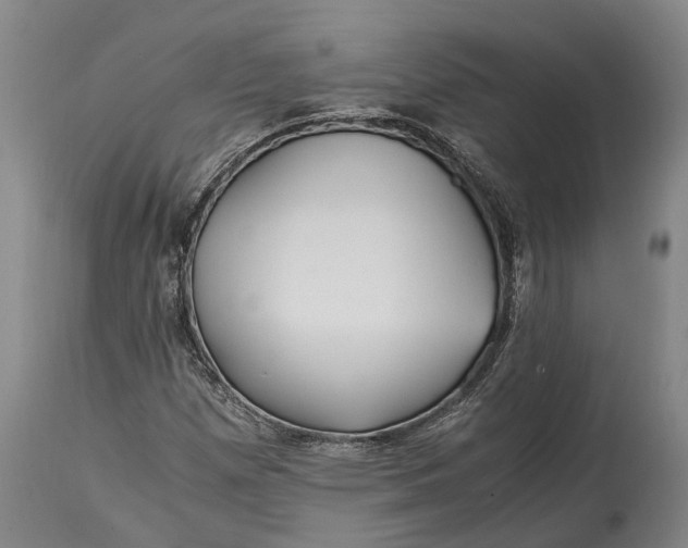 X0000114601257200911161346