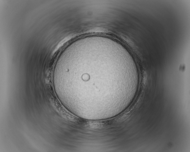 X0000114601258200911161346