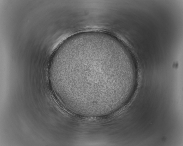 X0000114601259200911161346